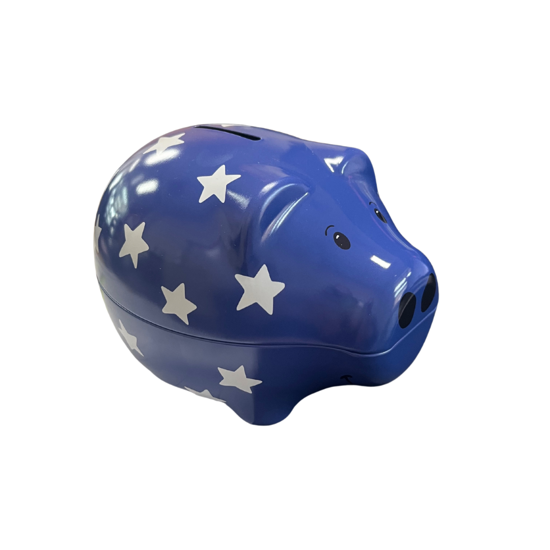 Piggy Bank Money Box